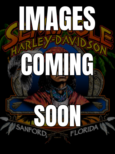 2024 Harley-Davidson Nightster® Special 1