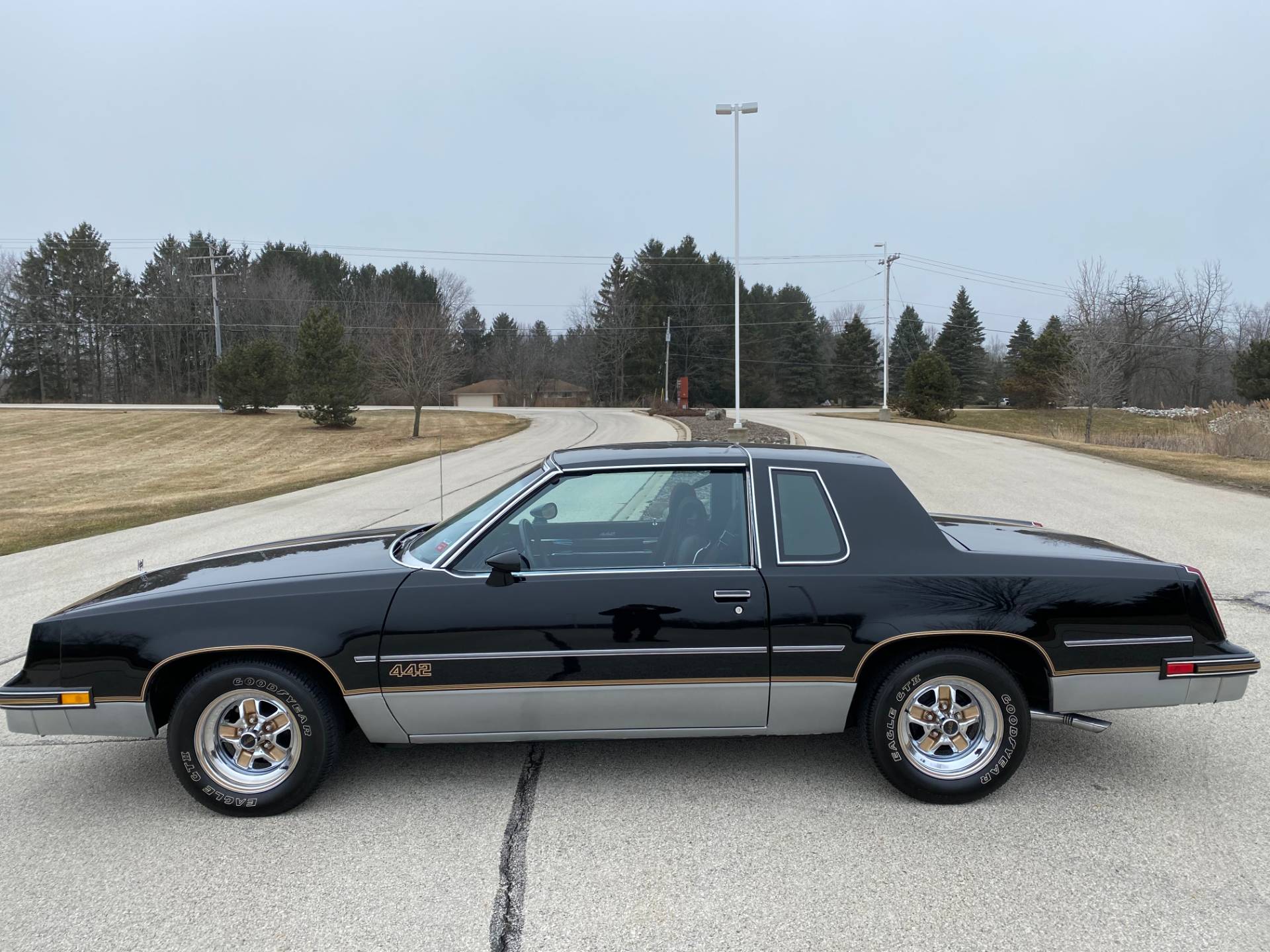 Used 1985 Oldsmobile Cutlass Salon 442 | Automobile in Big