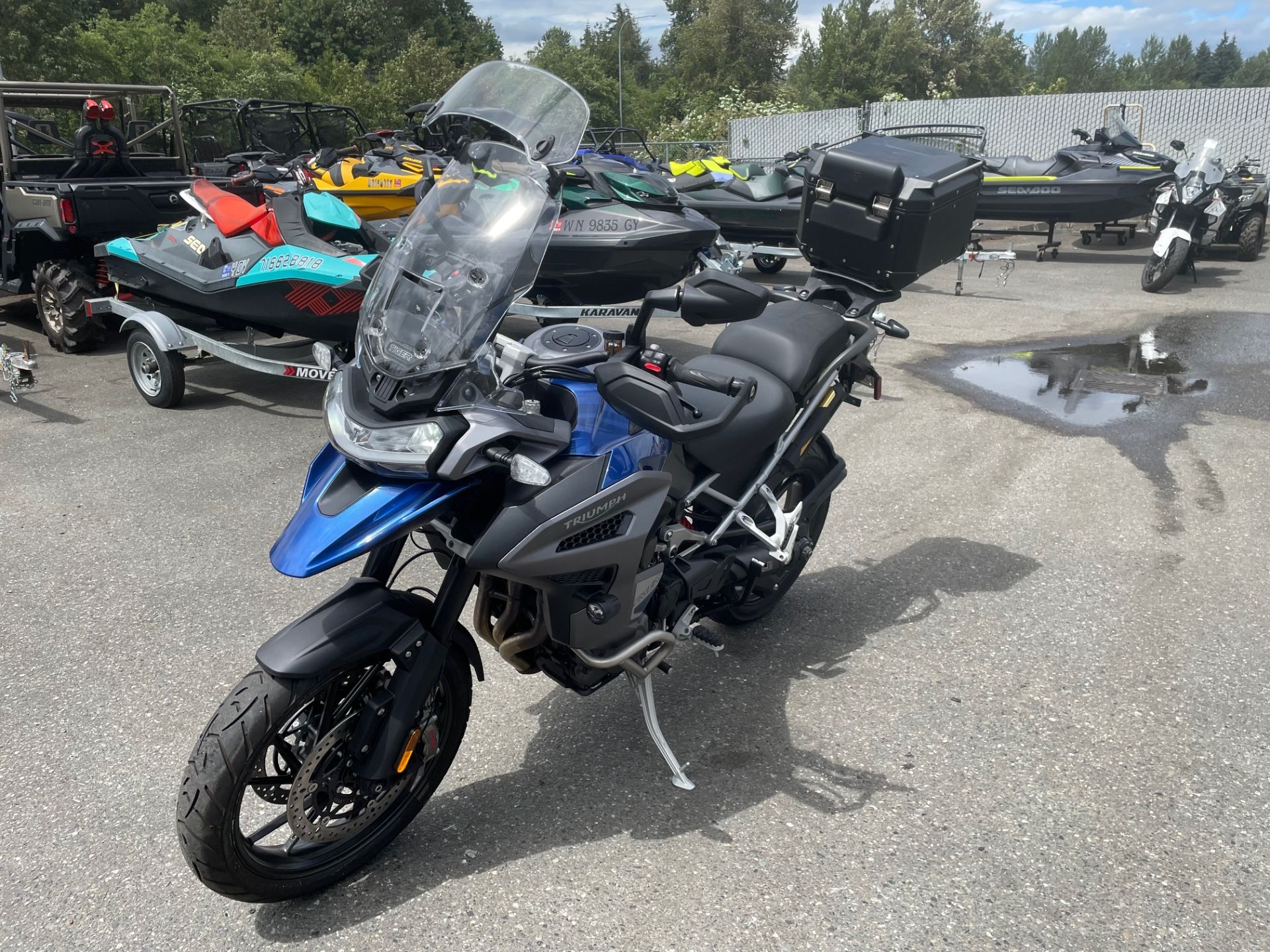 2023 Triumph Tiger 1200 GT Explorer 2
