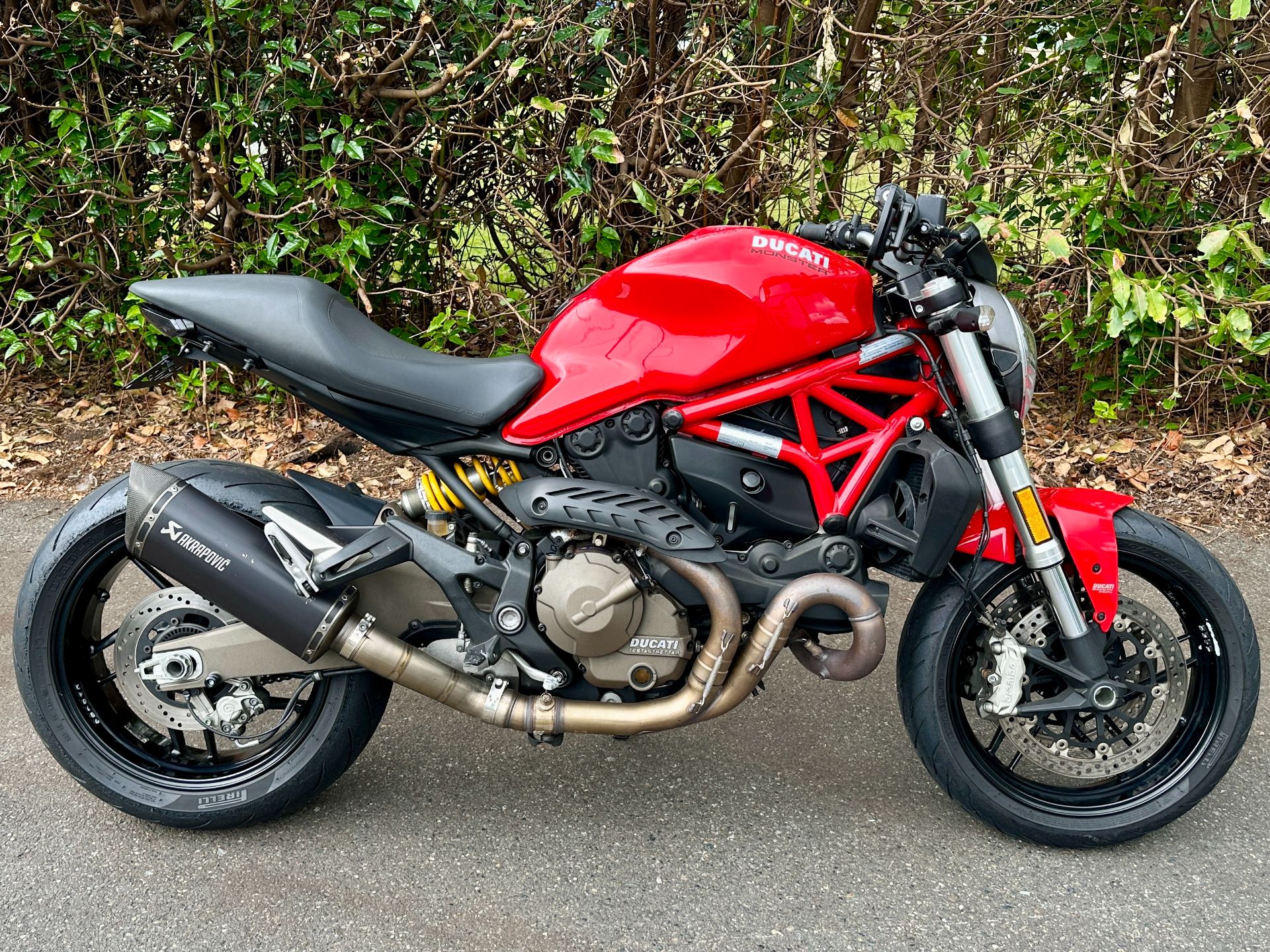 Monster 821 Ducati Monster 120 New 2025 Ducati Monster, Albany NY