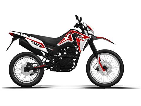 New 2023 Lifan KPX 250, Metamora MI | Specs, Price, Photos | Red