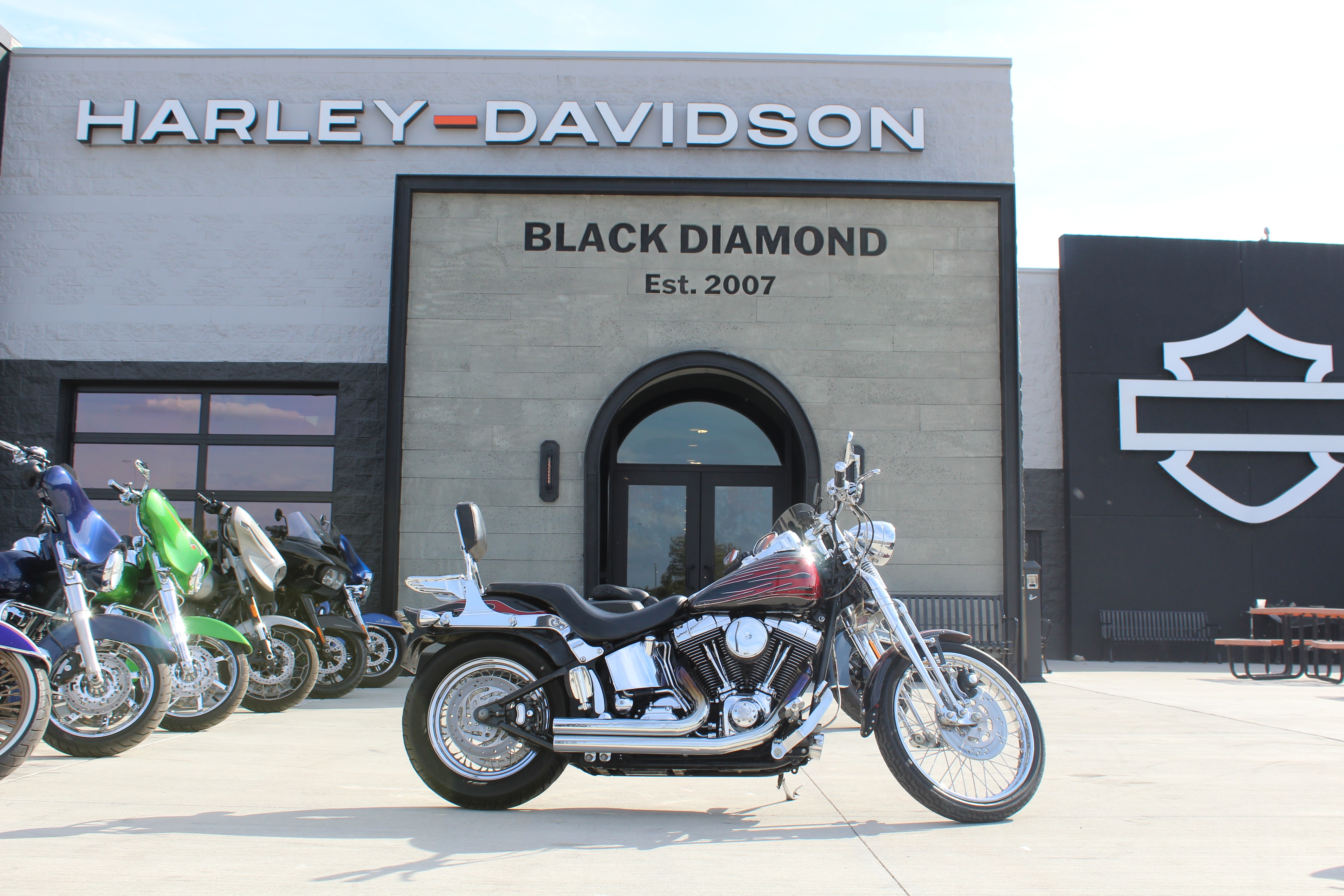 2003 FXSTS/FXSTSI Springer®  Softail®