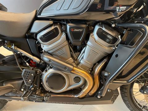 Used 2022 Harley-Davidson Pan America™ 1250 Special Vivid