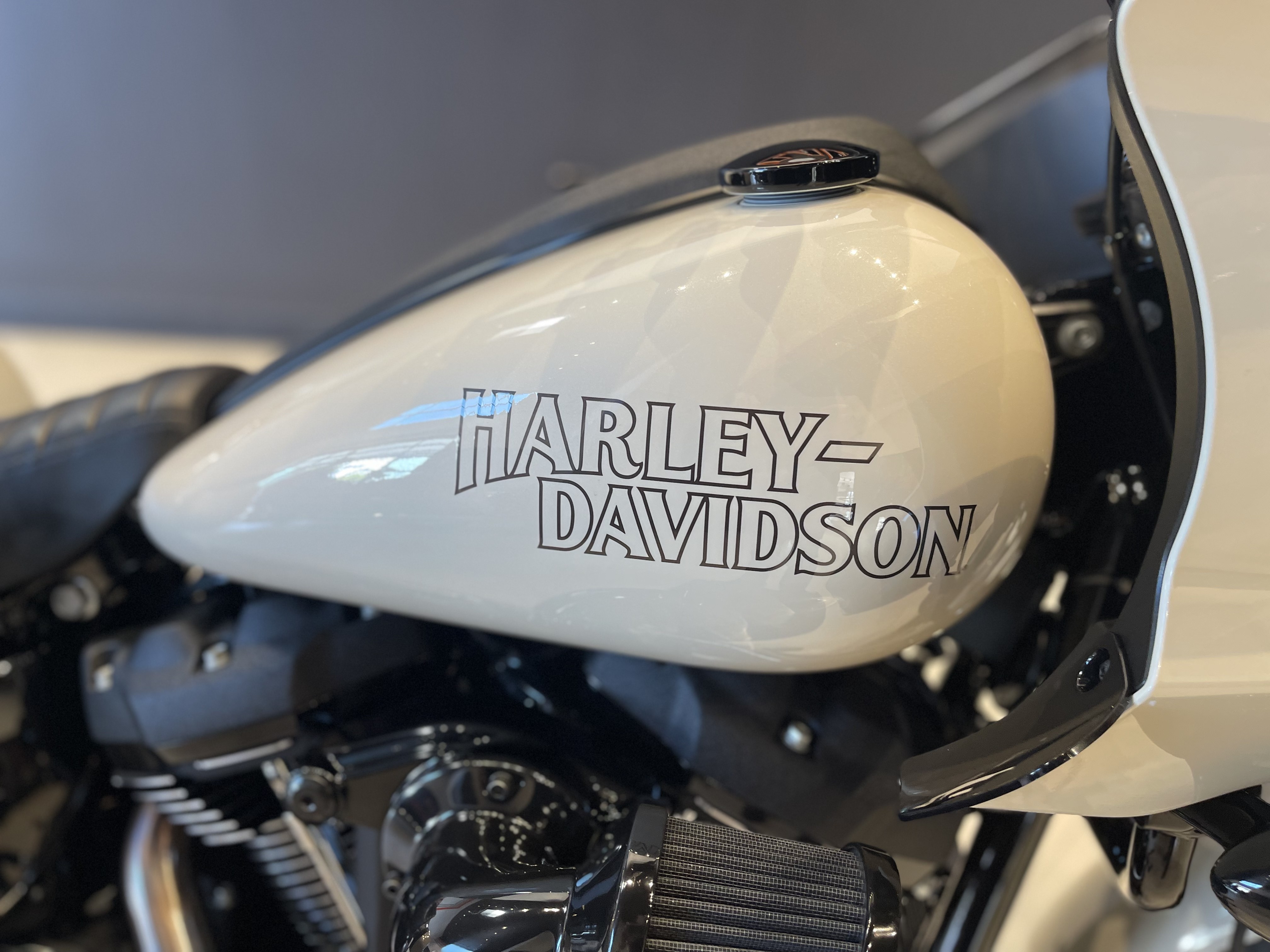 2023 Harley-Davidson Low Rider® ST 10