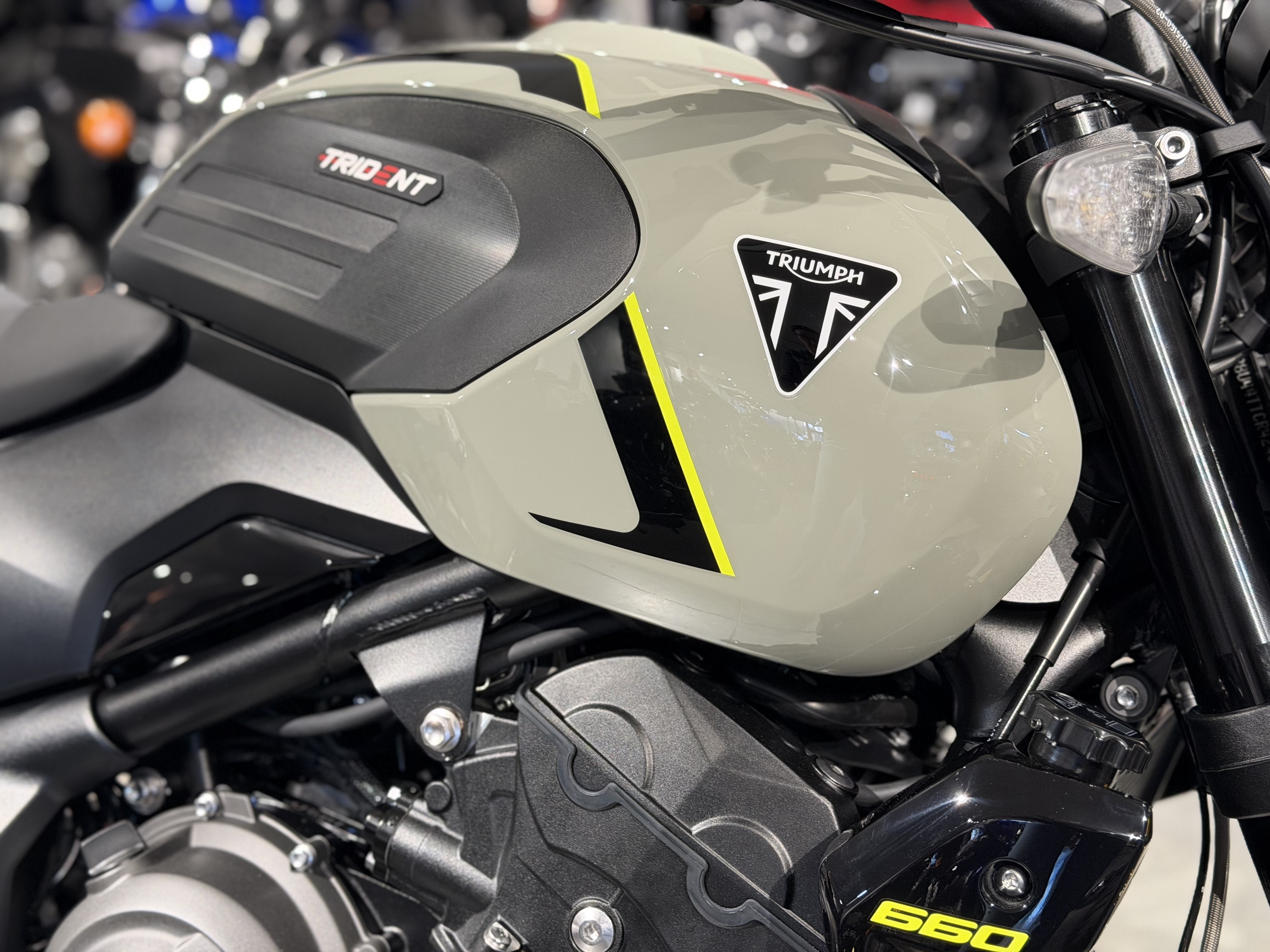 2026 Triumph Trident 660 2