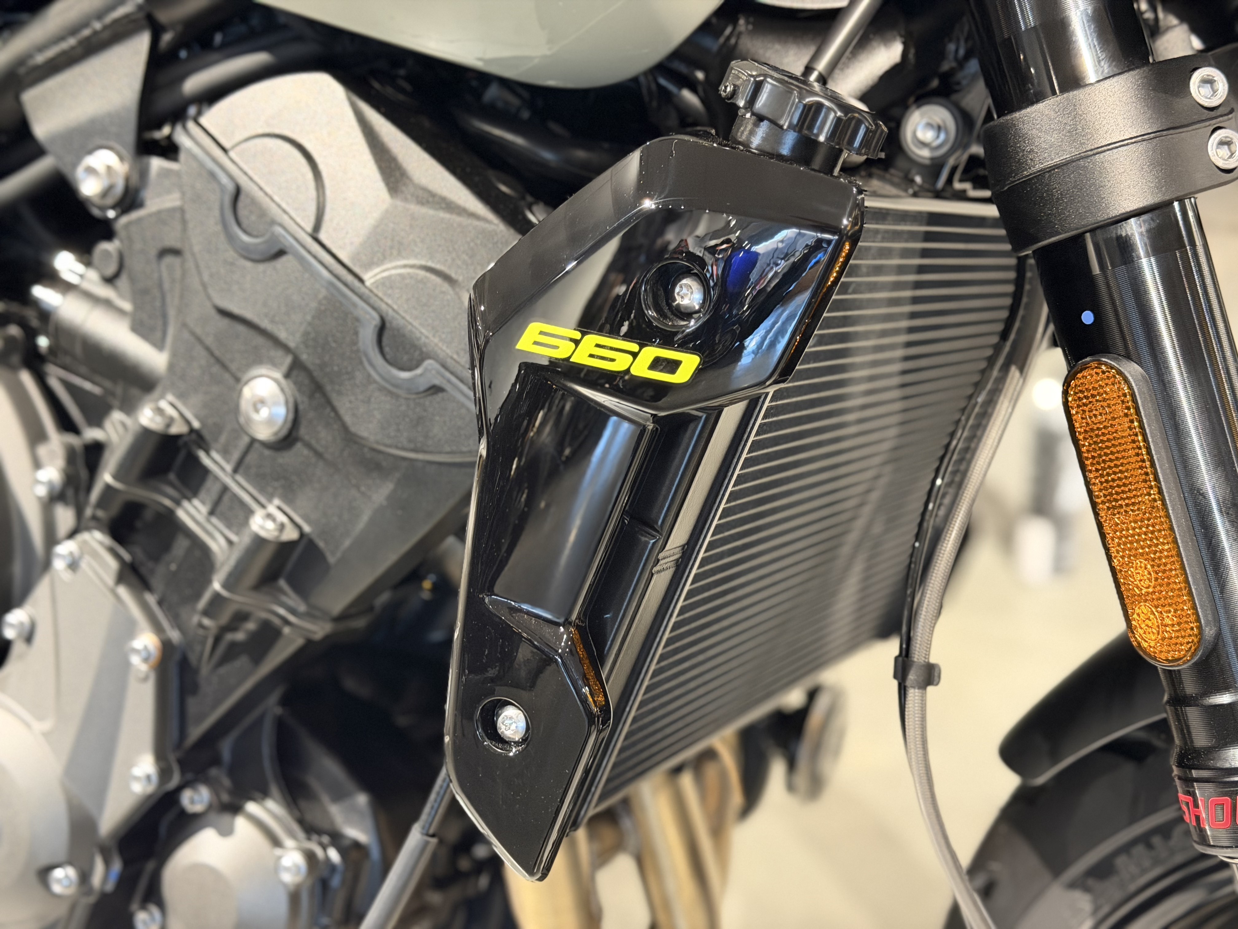2026 Triumph Trident 660 5