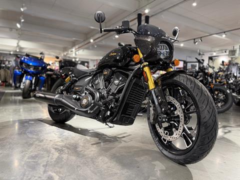 2026 Indian 101 Scout
