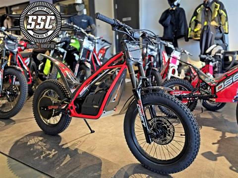 New 2024 Oset Electric Bikes TXP-20, Norwich CT | Specs, Price