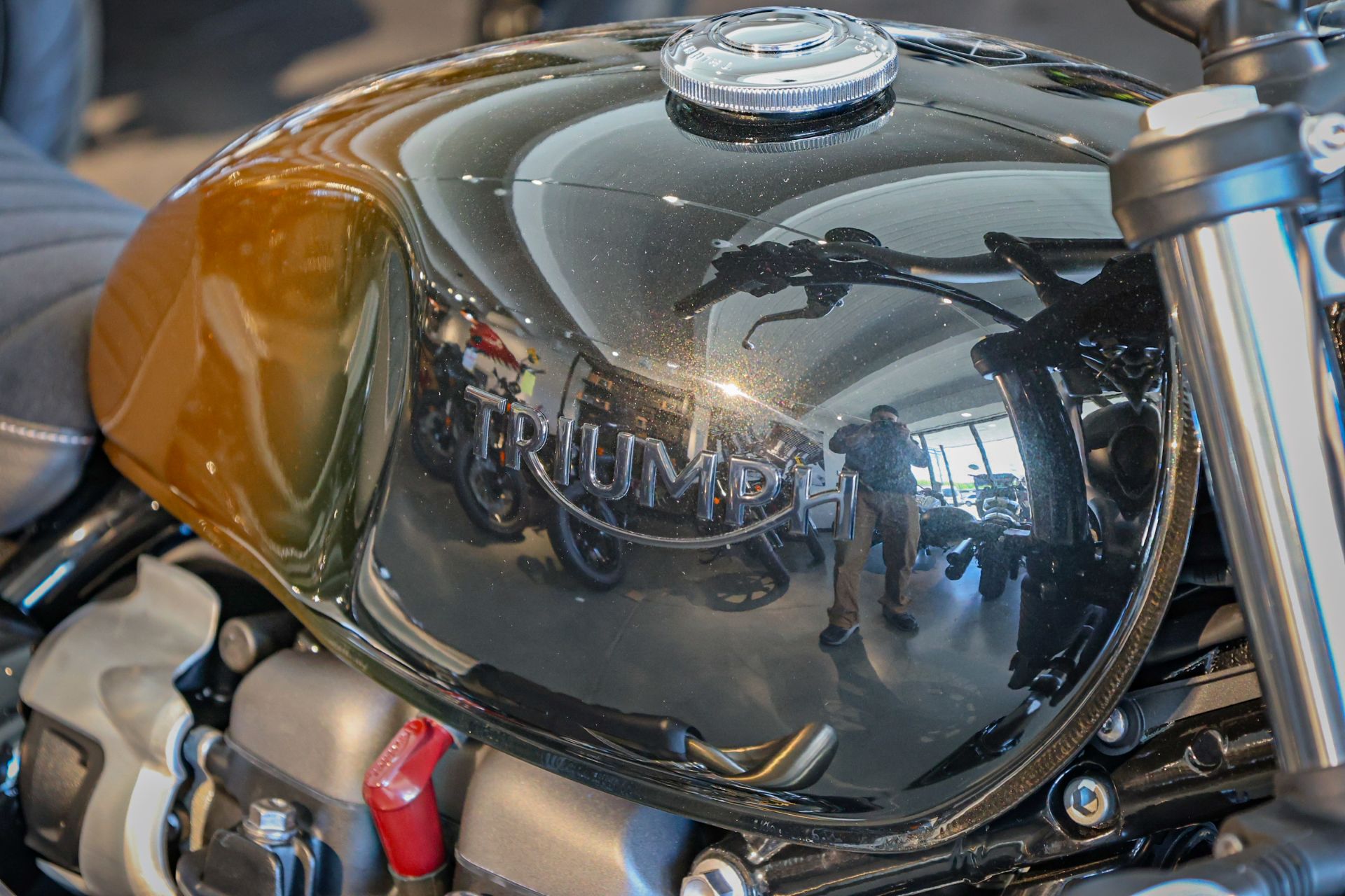 New 2024 Triumph Scrambler 900, Norwich CT | Specs, Price, Photos