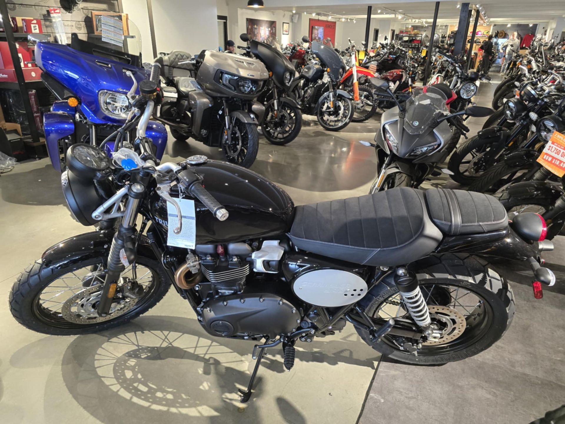 New 2025 Triumph Scrambler 900, Norwich CT | Specs, Price, Photos