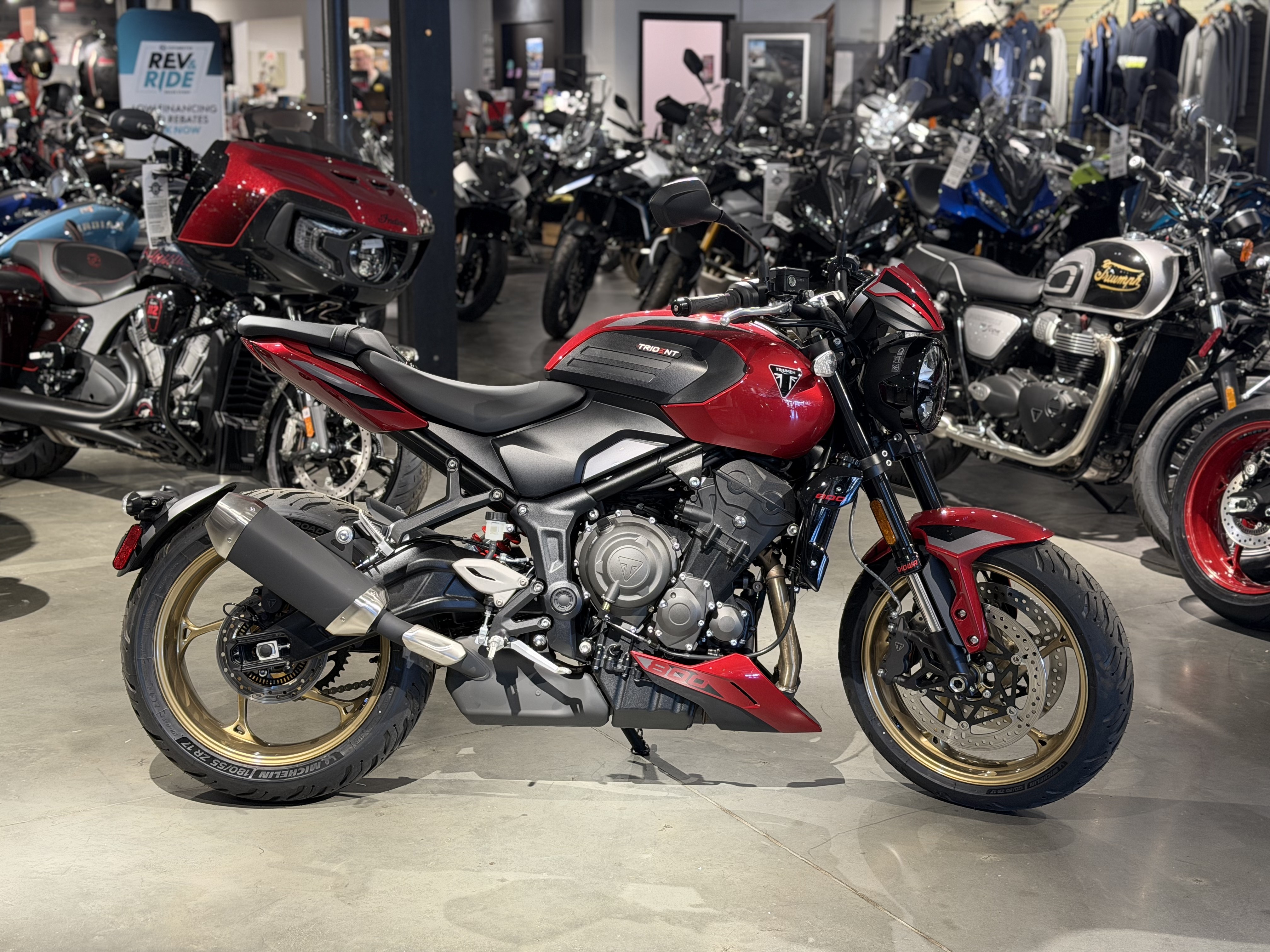 2026 Triumph Trident 800