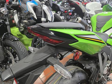 ばなな New 2025 Kawasaki Ninja ZX-10R KRT Edition | Motorcycles in