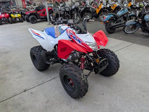 2026 Honda TRX250X