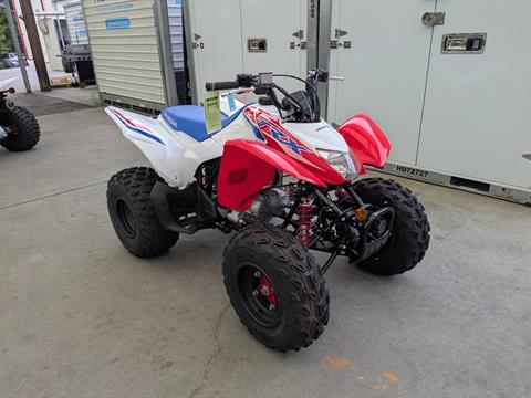2026 Honda TRX250X
