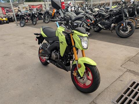 2026 Kawasaki Z125 Pro