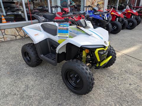 2024 Cfmoto CForce EV110