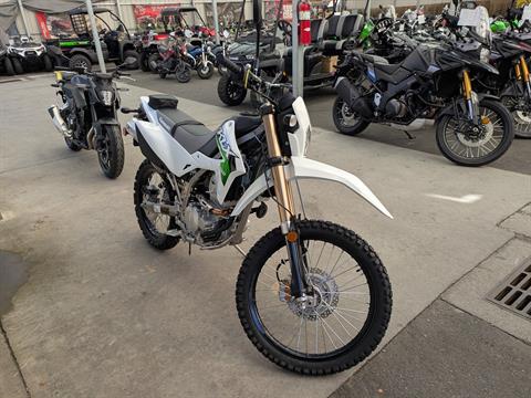 2026 Kawasaki KLX300
