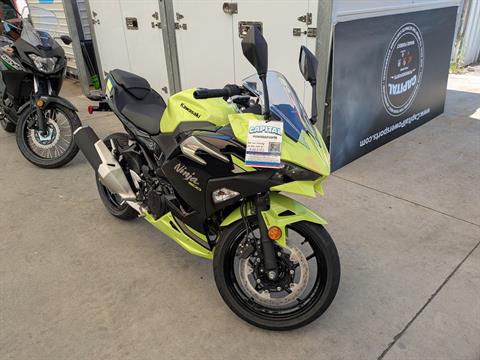 2026 Kawasaki Ninja 500 ABS