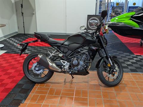 New 2025 Honda CB300R ABS, Wake Forest NC | Specs, Price, Photos