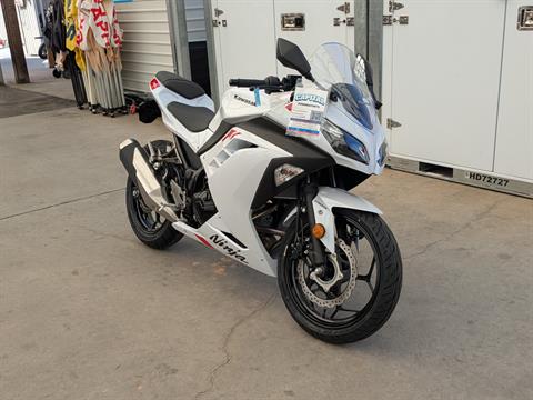 2026 Kawasaki Ninja 300 ABS