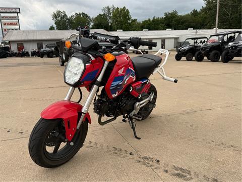 低走行！程度極上！！HONDA GROM 2024 Honda Grom - Central Florida PowerSports