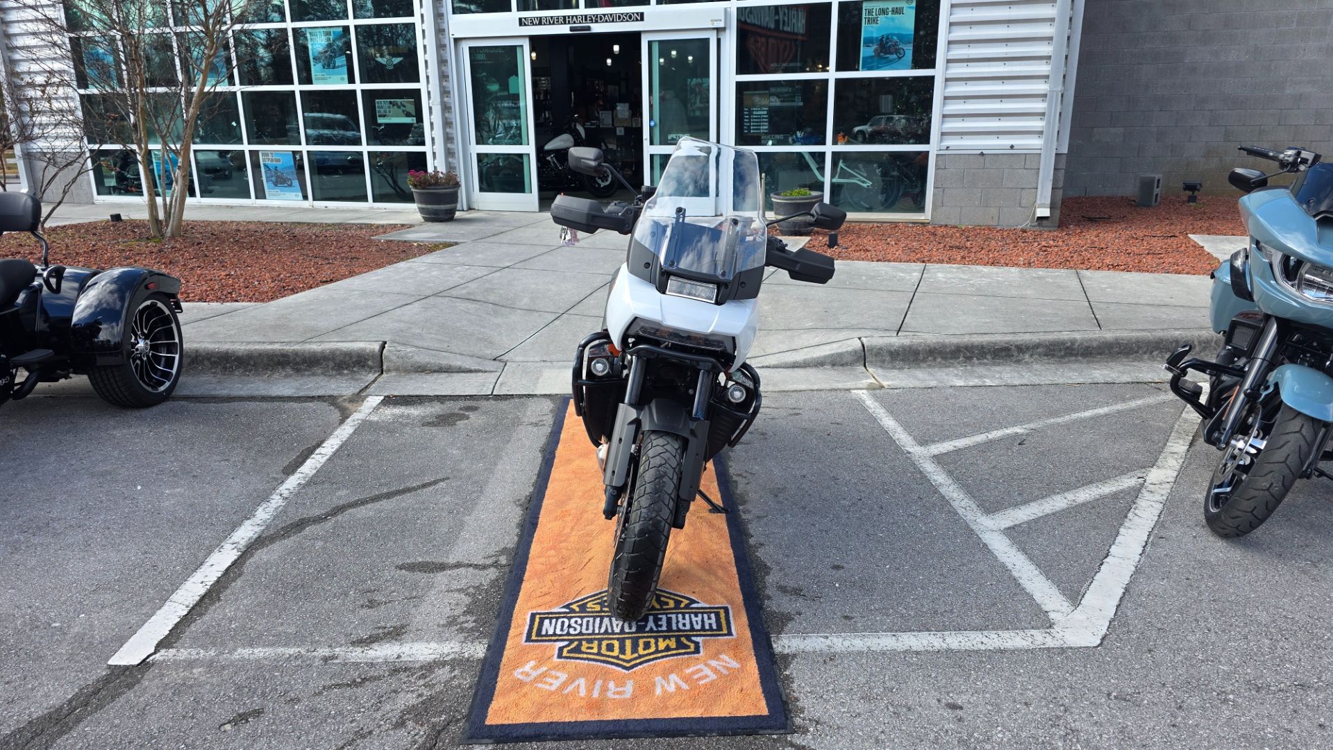 2021 Harley-Davidson Pan America Special 3