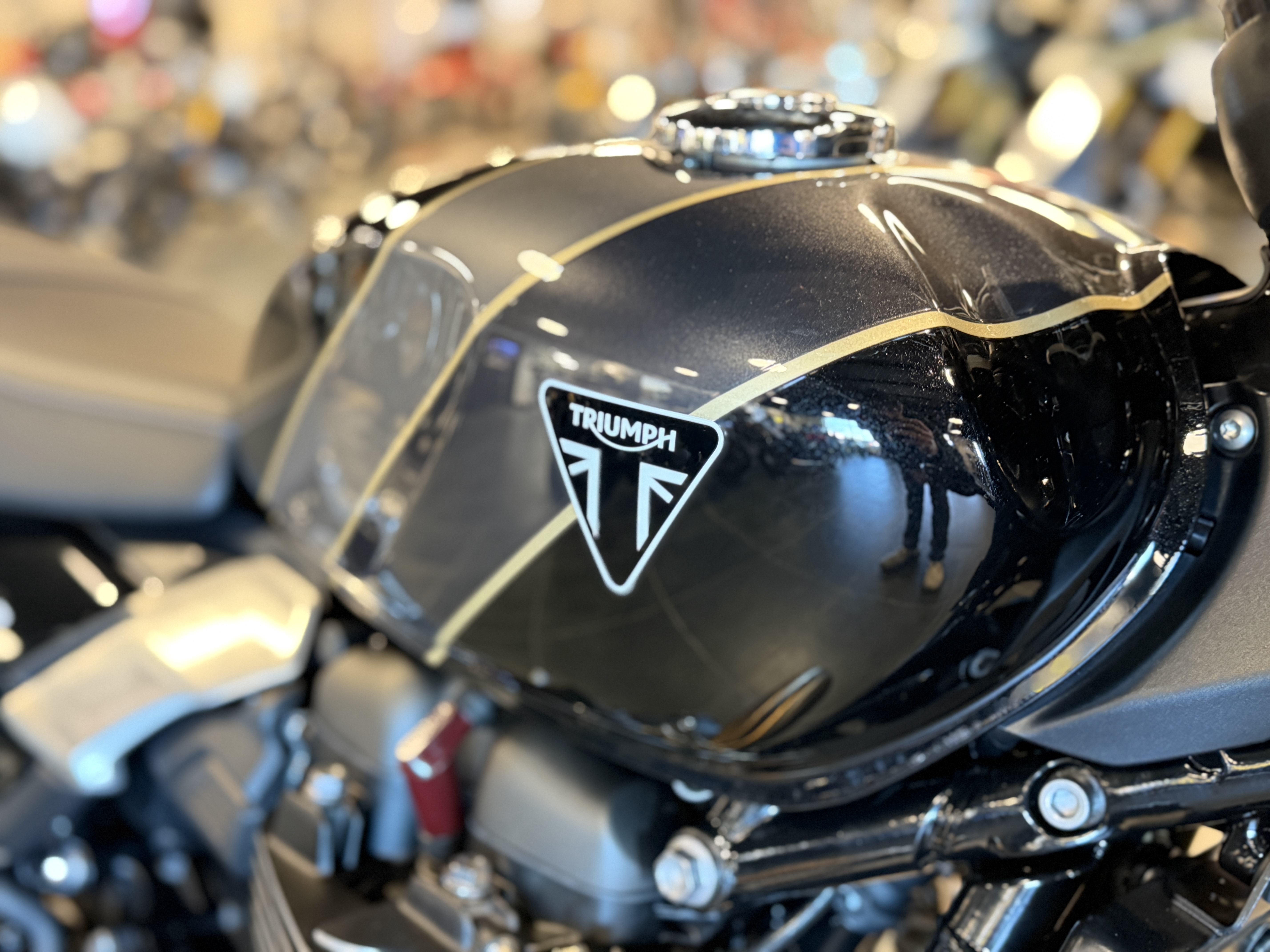 2026 Triumph Speed Twin 900 in Chattanooga, Tennessee - Photo 8