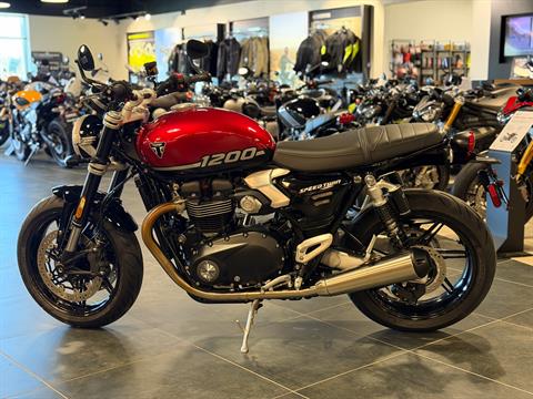 2025 Triumph Speed Twin 1200 in Chattanooga, Tennessee - Photo 3