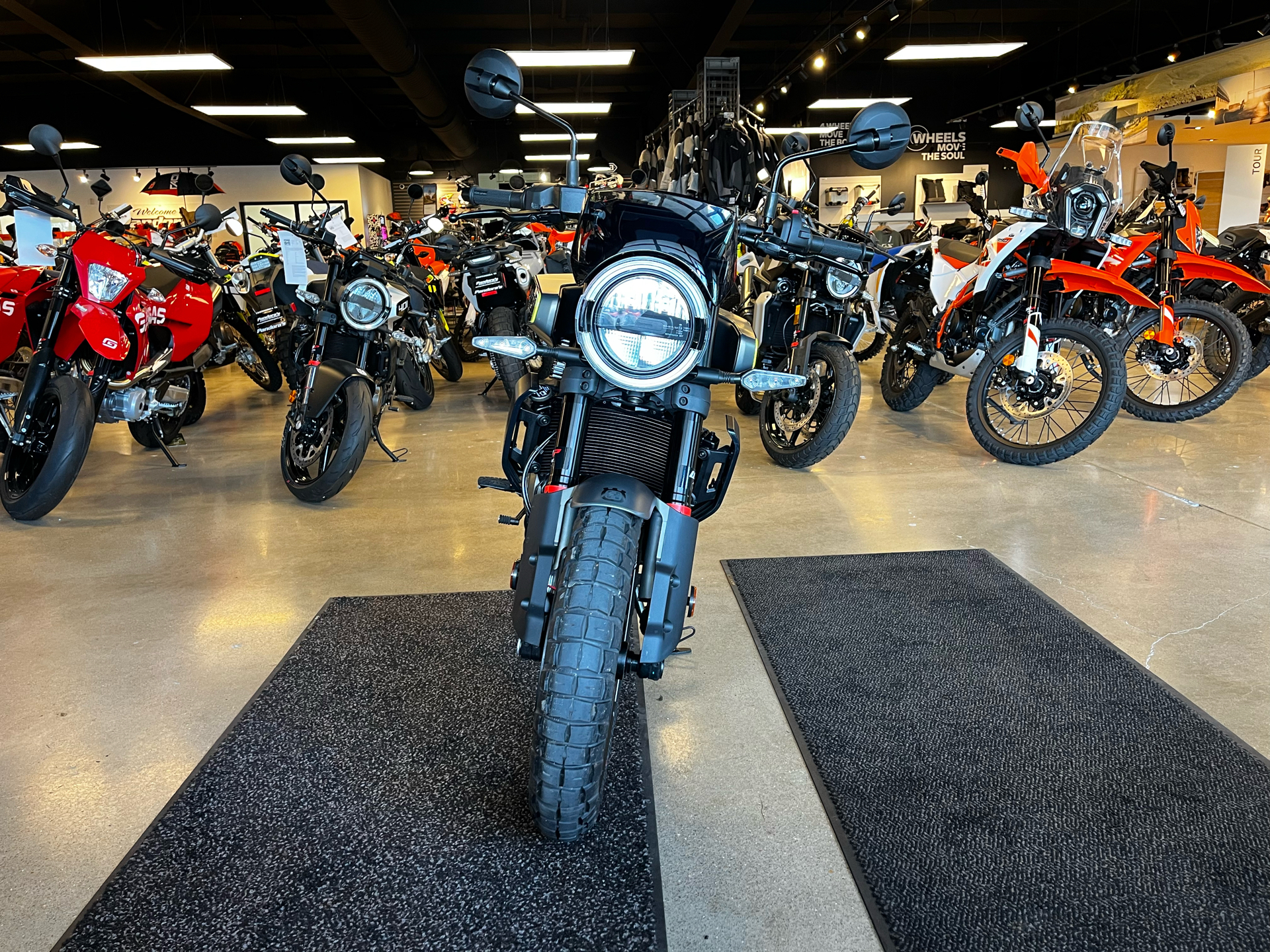 New 2024 Husqvarna Svartpilen 401, Chattanooga TN | Specs, Price