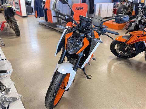 2024 KTM 250 Duke in Chattanooga, Tennessee - Photo 3