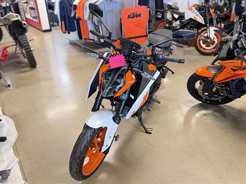 2024 KTM 250 Duke in Chattanooga, Tennessee - Photo 4