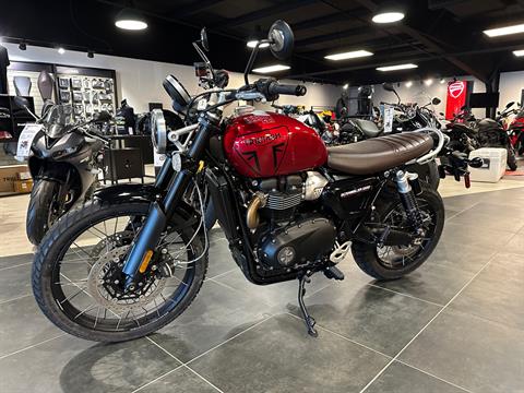 2025 Triumph Scrambler 1200 X in Chattanooga, Tennessee - Photo 1