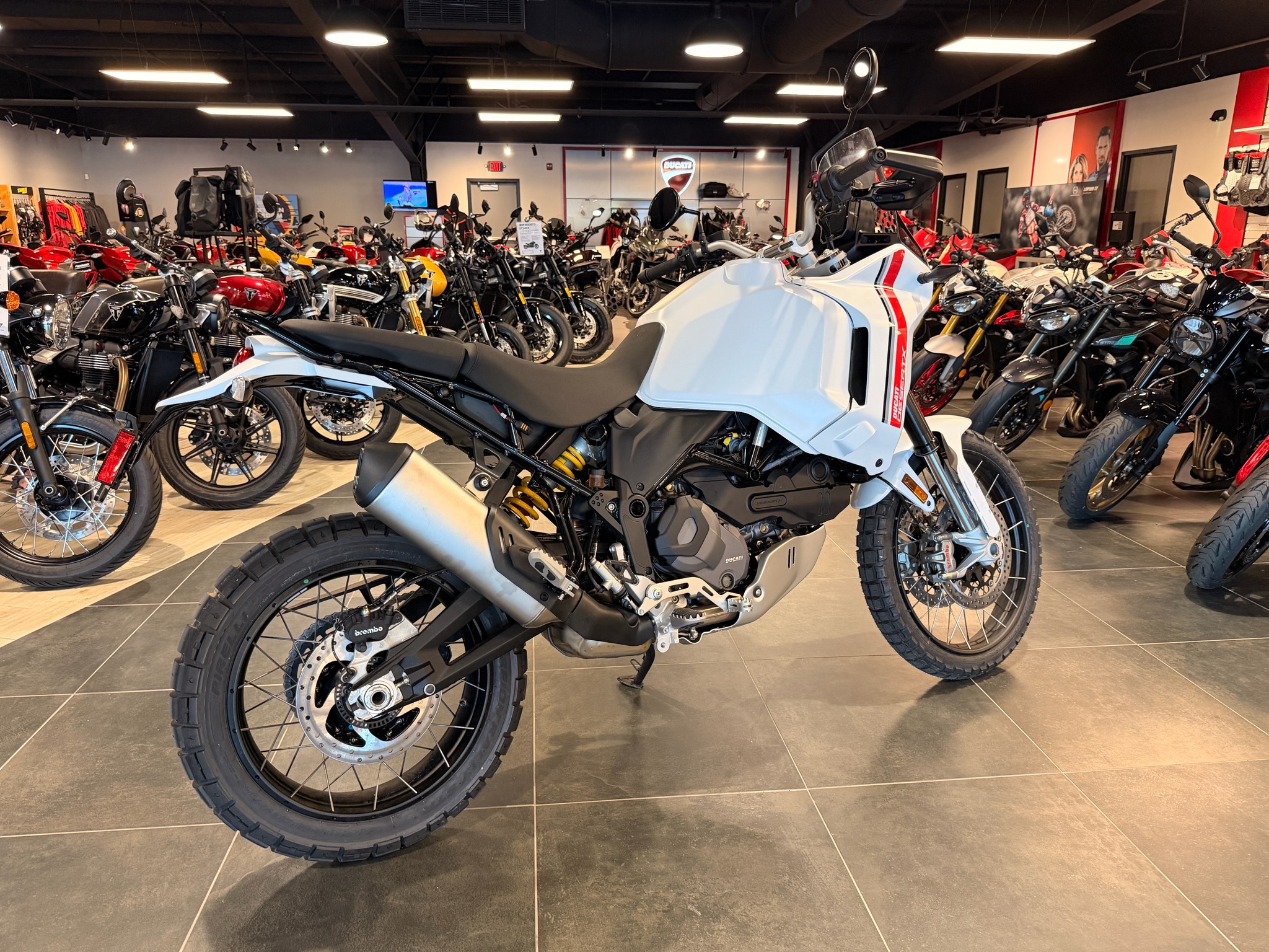 2026 Ducati DesertX for sale 1095865