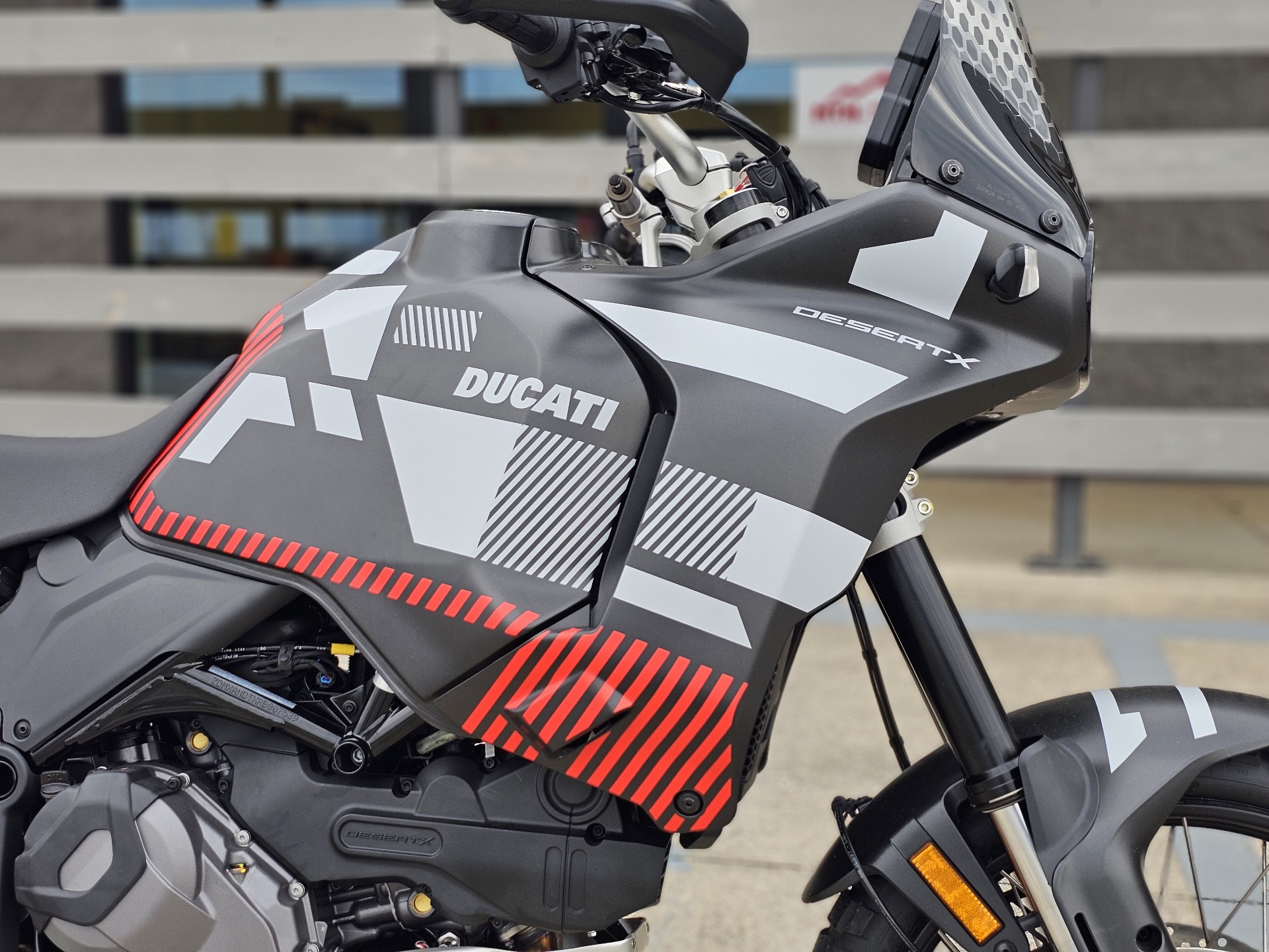 2024 Ducati DesertX in Chattanooga, Tennessee - Photo 2