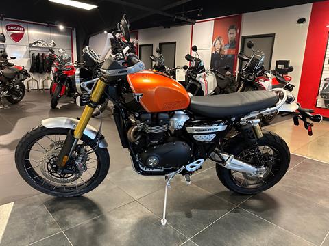 2025 Triumph Scrambler 1200 XE in Chattanooga, Tennessee - Photo 1
