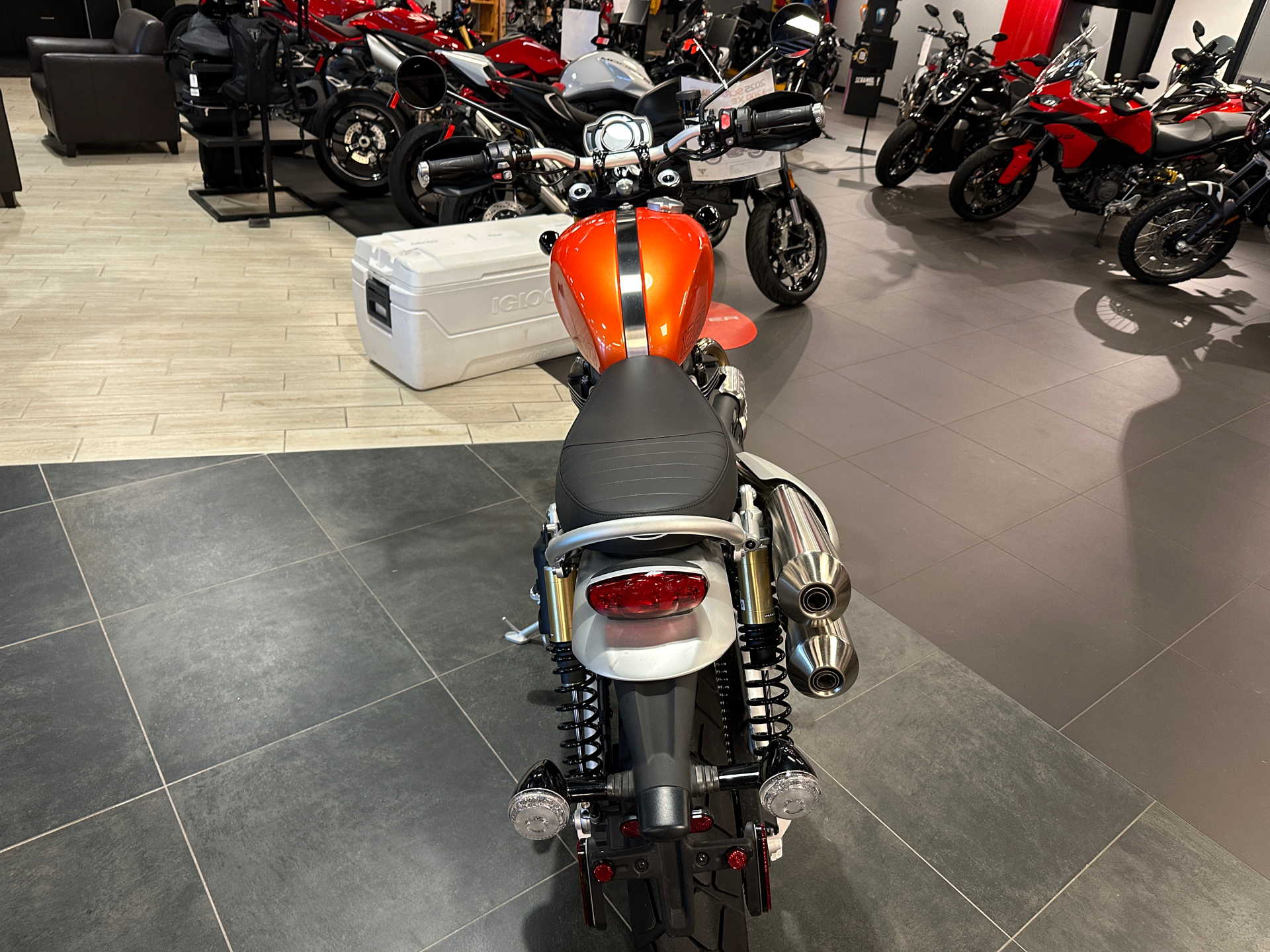 2025 Triumph Scrambler 1200 XE in Chattanooga, Tennessee - Photo 4