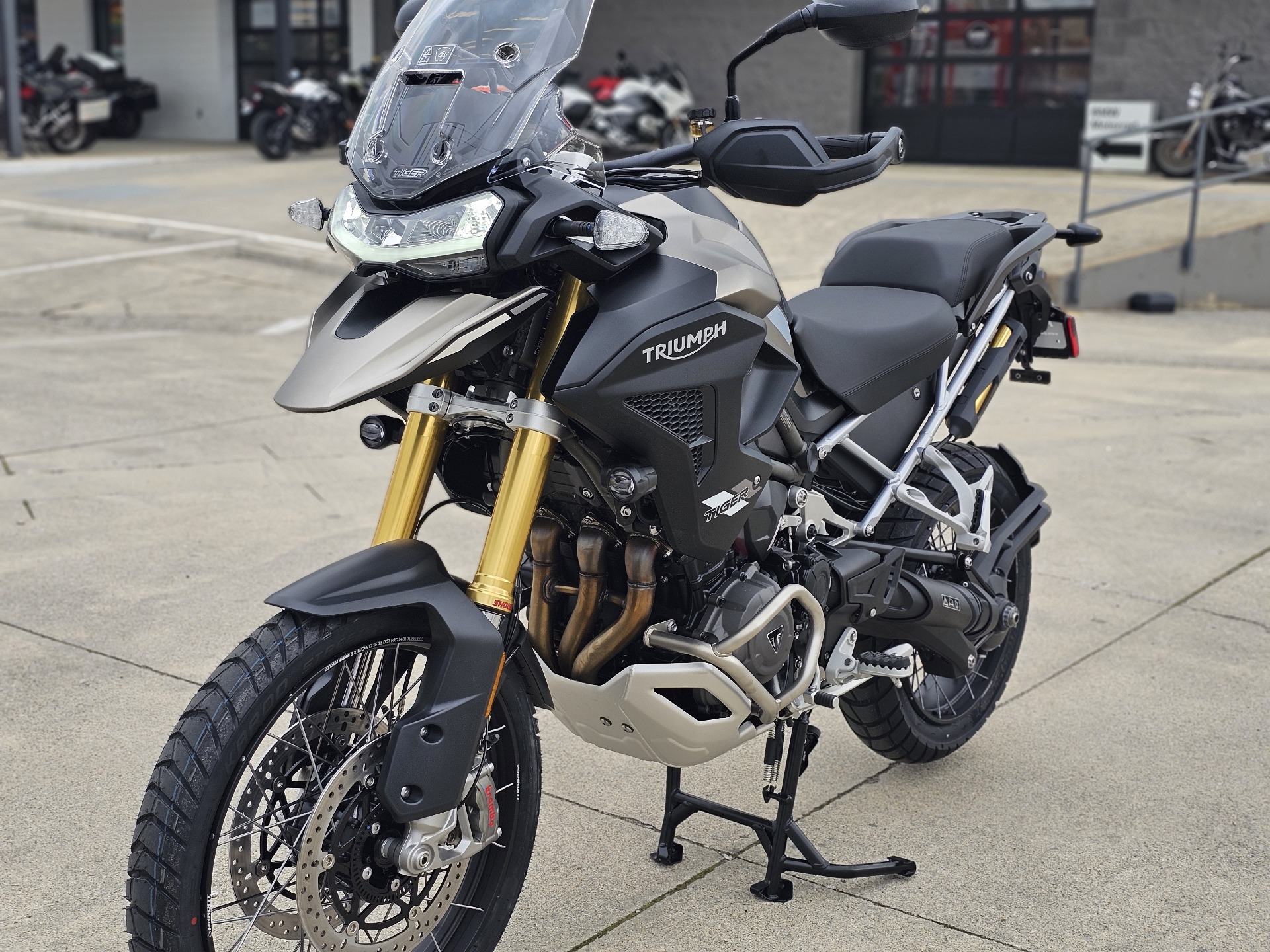 2025 Triumph Tiger 1200 Rally Pro in Chattanooga, Tennessee - Photo 4