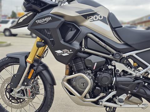 2025 Triumph Tiger 1200 Rally Pro in Chattanooga, Tennessee - Photo 5