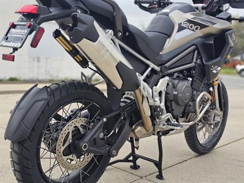 2025 Triumph Tiger 1200 Rally Pro in Chattanooga, Tennessee - Photo 7