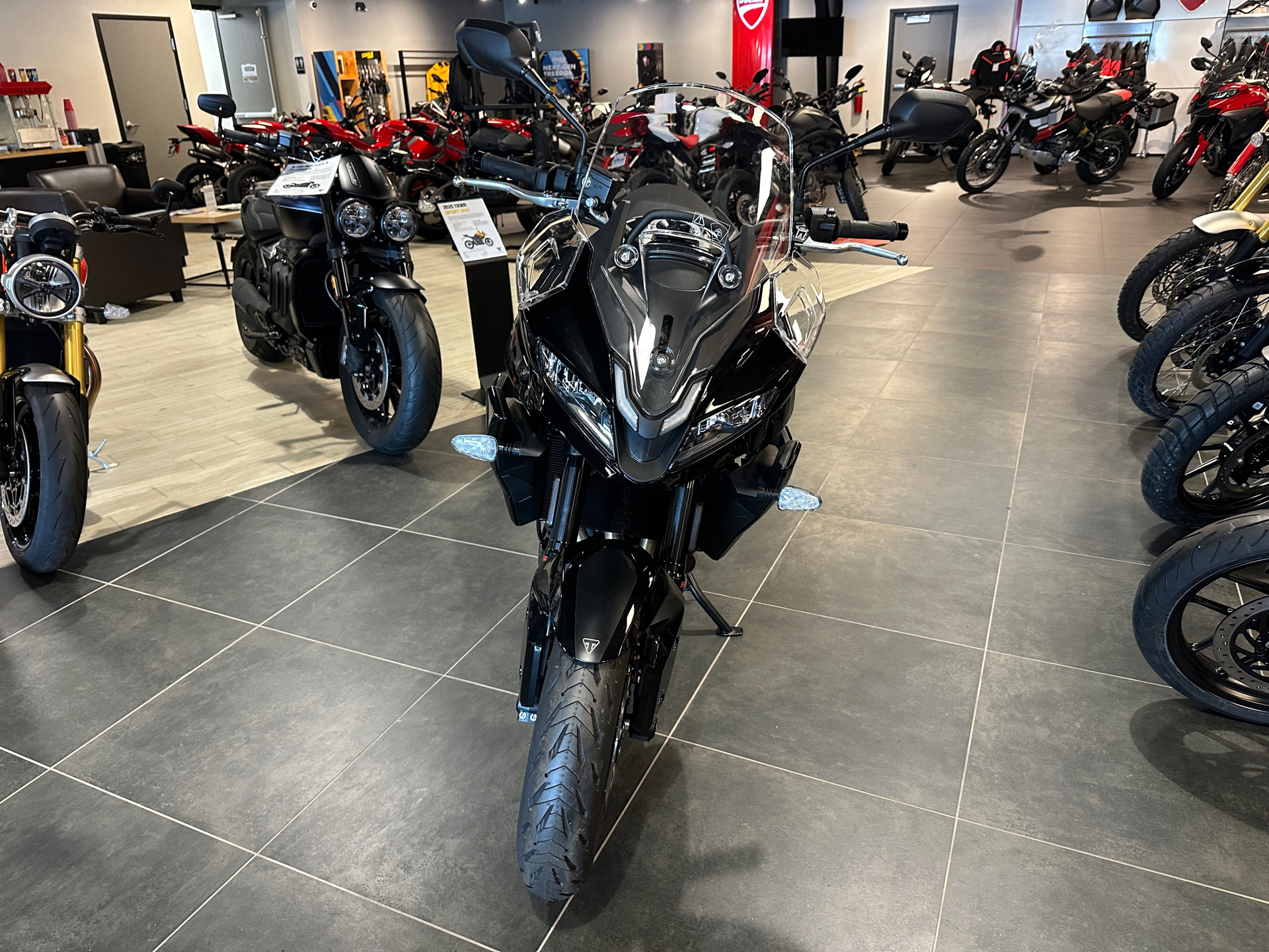 2025 Triumph Tiger Sport 800 in Chattanooga, Tennessee - Photo 2
