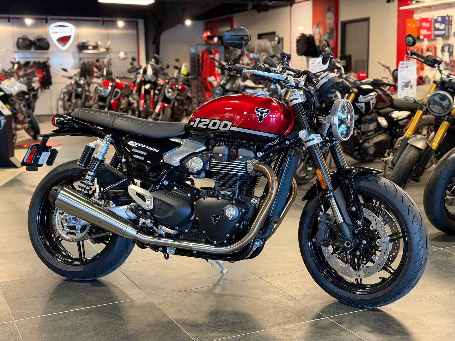 2026 Triumph Speed Twin 1200 in Chattanooga, Tennessee - Photo 1