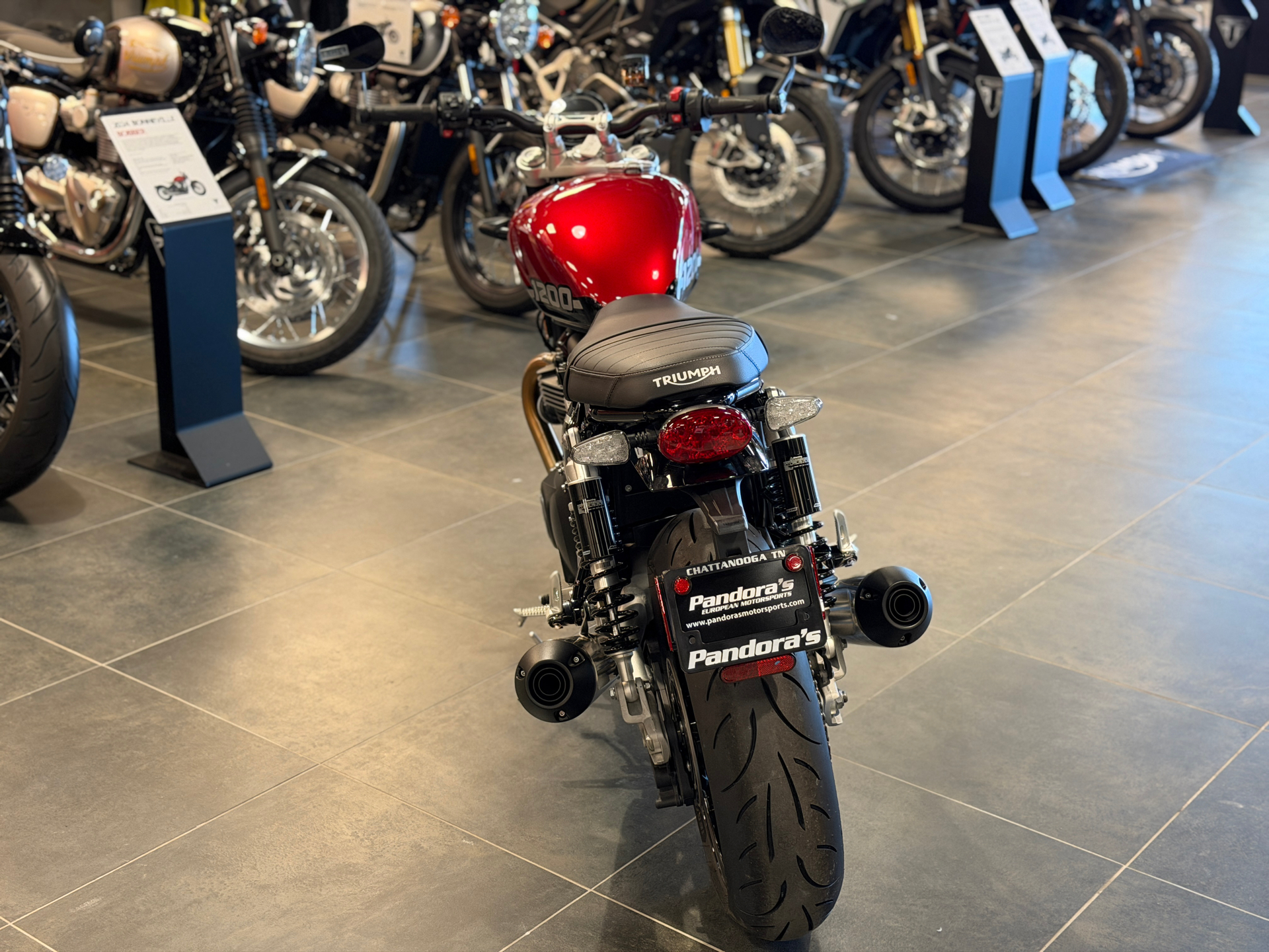 2026 Triumph Speed Twin 1200 in Chattanooga, Tennessee - Photo 4