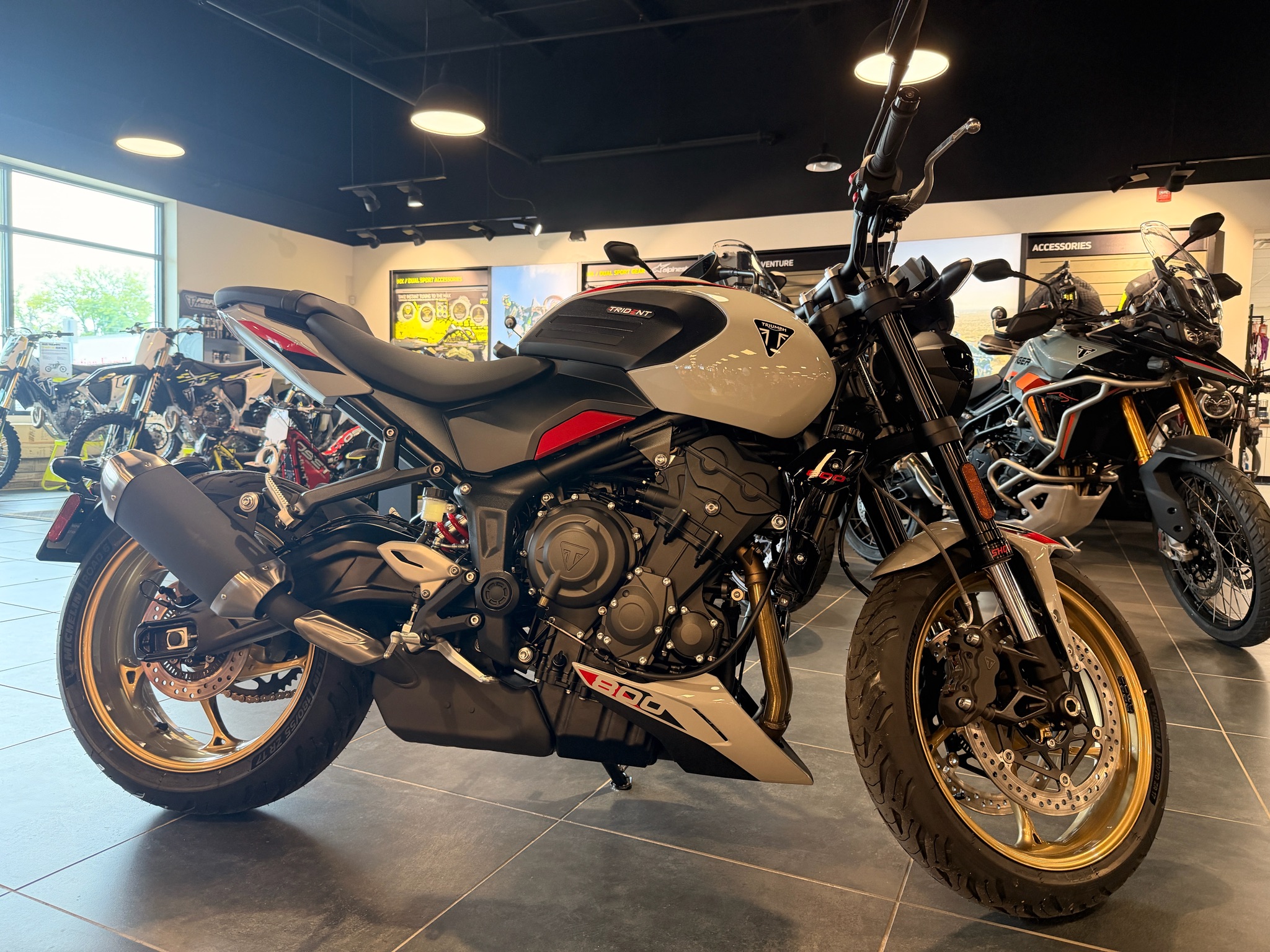 2026 Triumph Trident 800