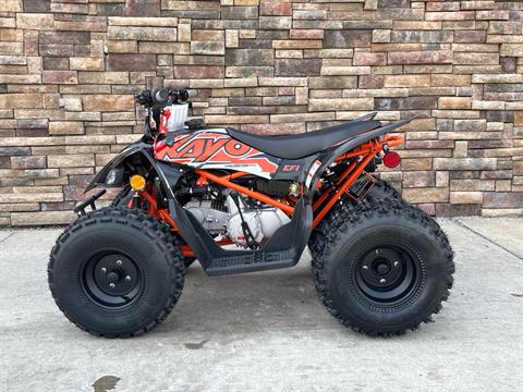 2025 Kayo Predator 125 in Columbia, Missouri - Photo 1