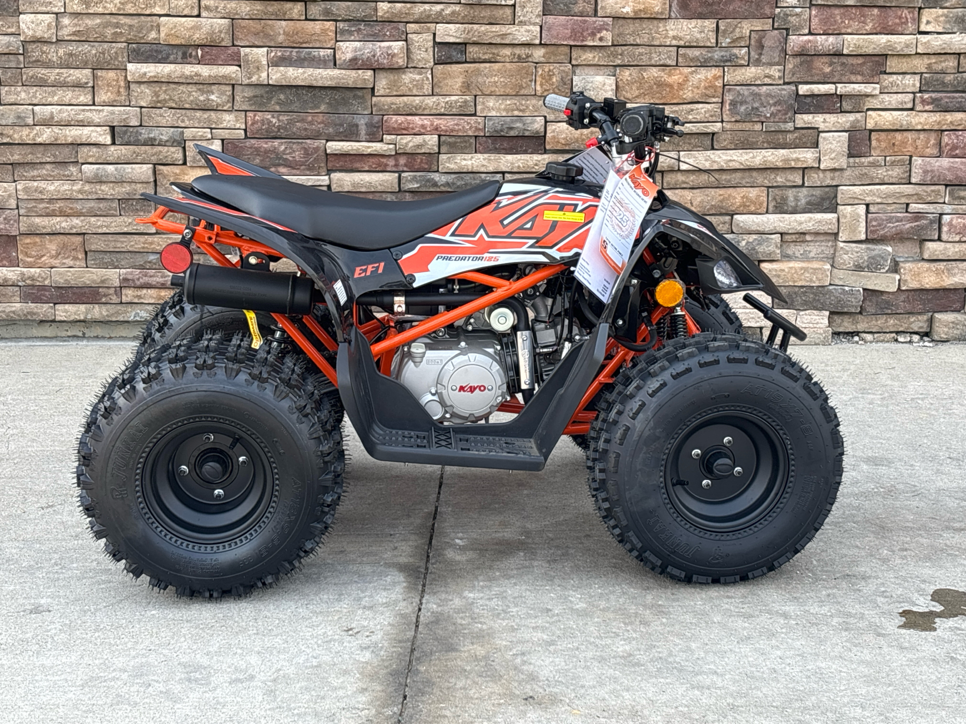 2025 Kayo Predator 125 in Columbia, Missouri - Photo 11