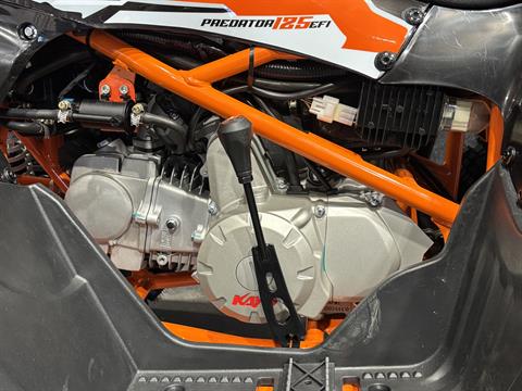2025 Kayo Predator 125 EFI in Columbia, Missouri - Photo 5