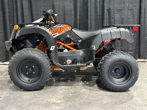 2025 Kayo Bull 150 EFI in Columbia, Missouri - Photo 1