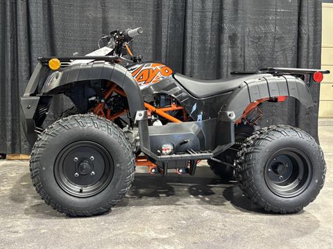 2025 Kayo Bull 150 EFI in Columbia, Missouri - Photo 3