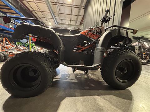 2025 Kayo Bull 150 EFI in Columbia, Missouri - Photo 13