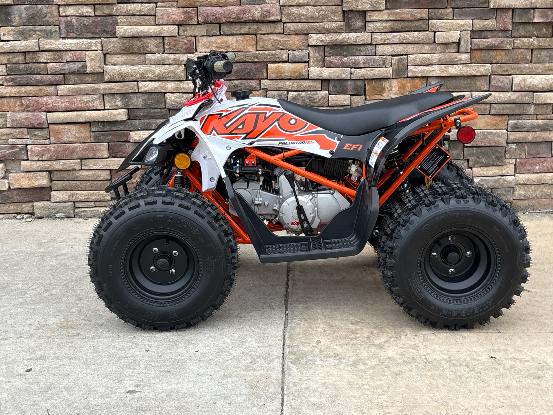 2025 Kayo Predator 125 in Columbia, Missouri - Photo 1